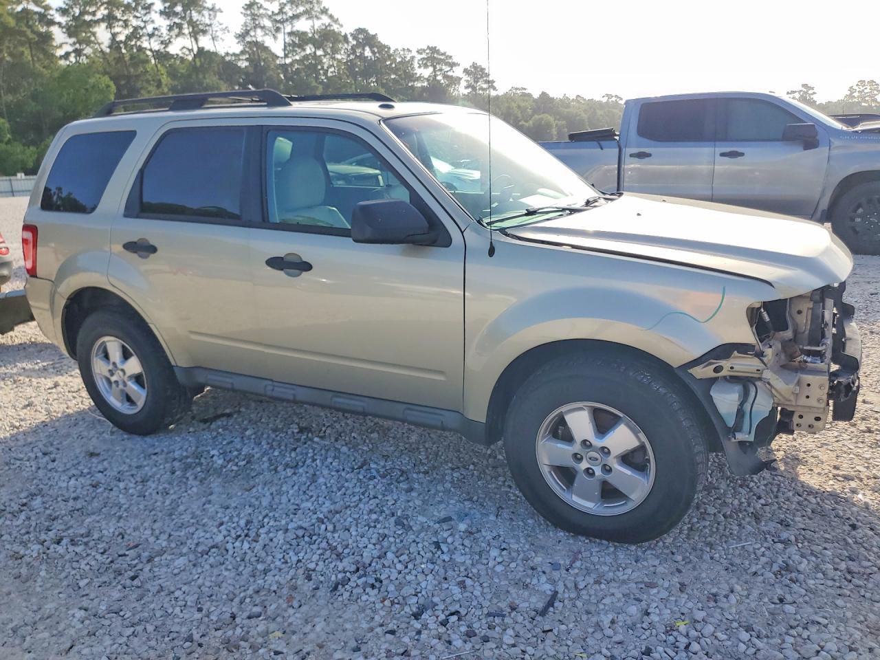2011 Ford Escape Xlt Beige vin: 1FMCU0DG8BKB72482