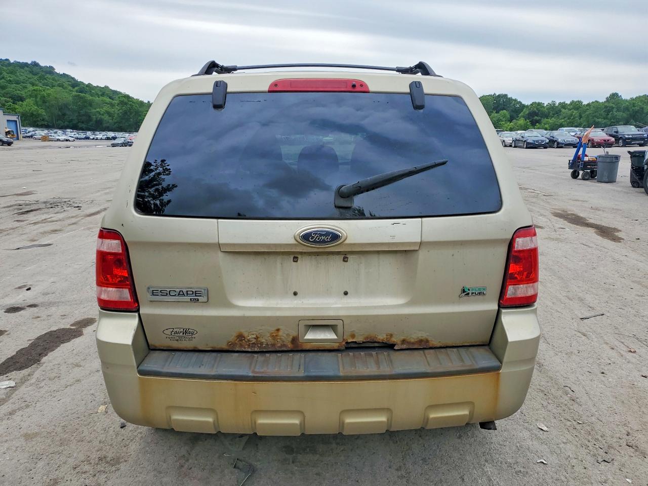 2010 Ford Escape Xlt Beige vin: 1FMCU0DG9AKD17902