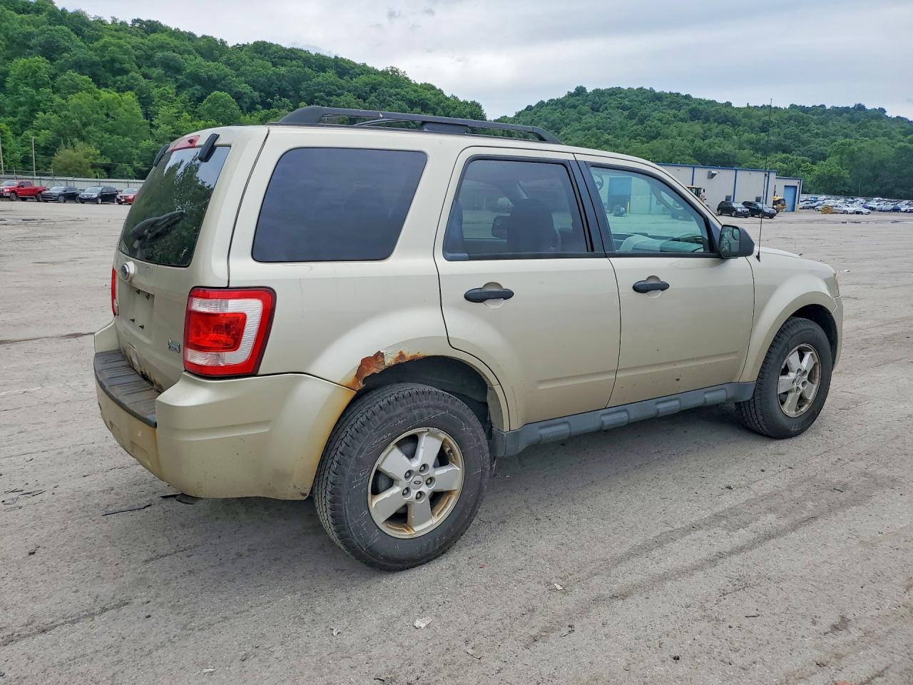 2010 Ford Escape Xlt Beige vin: 1FMCU0DG9AKD17902