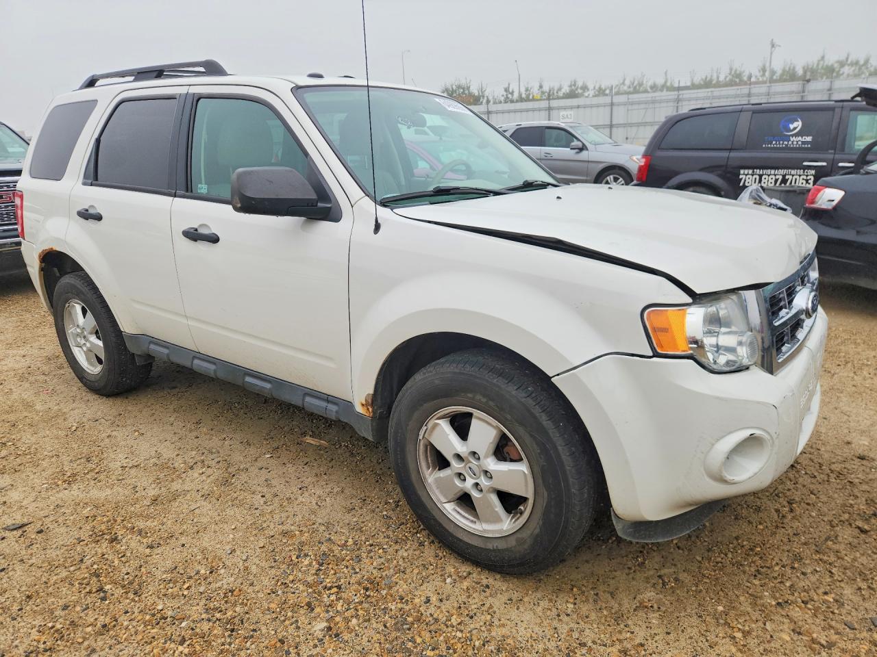 2011 Ford Escape Xlt White vin: 1FMCU0DGXBKA24074