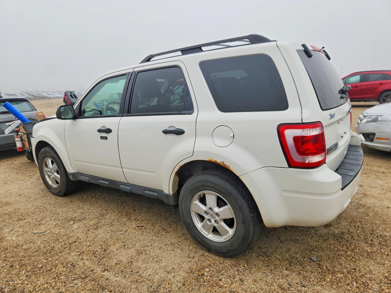 2011 Ford Escape Xlt White vin: 1FMCU0DGXBKA24074