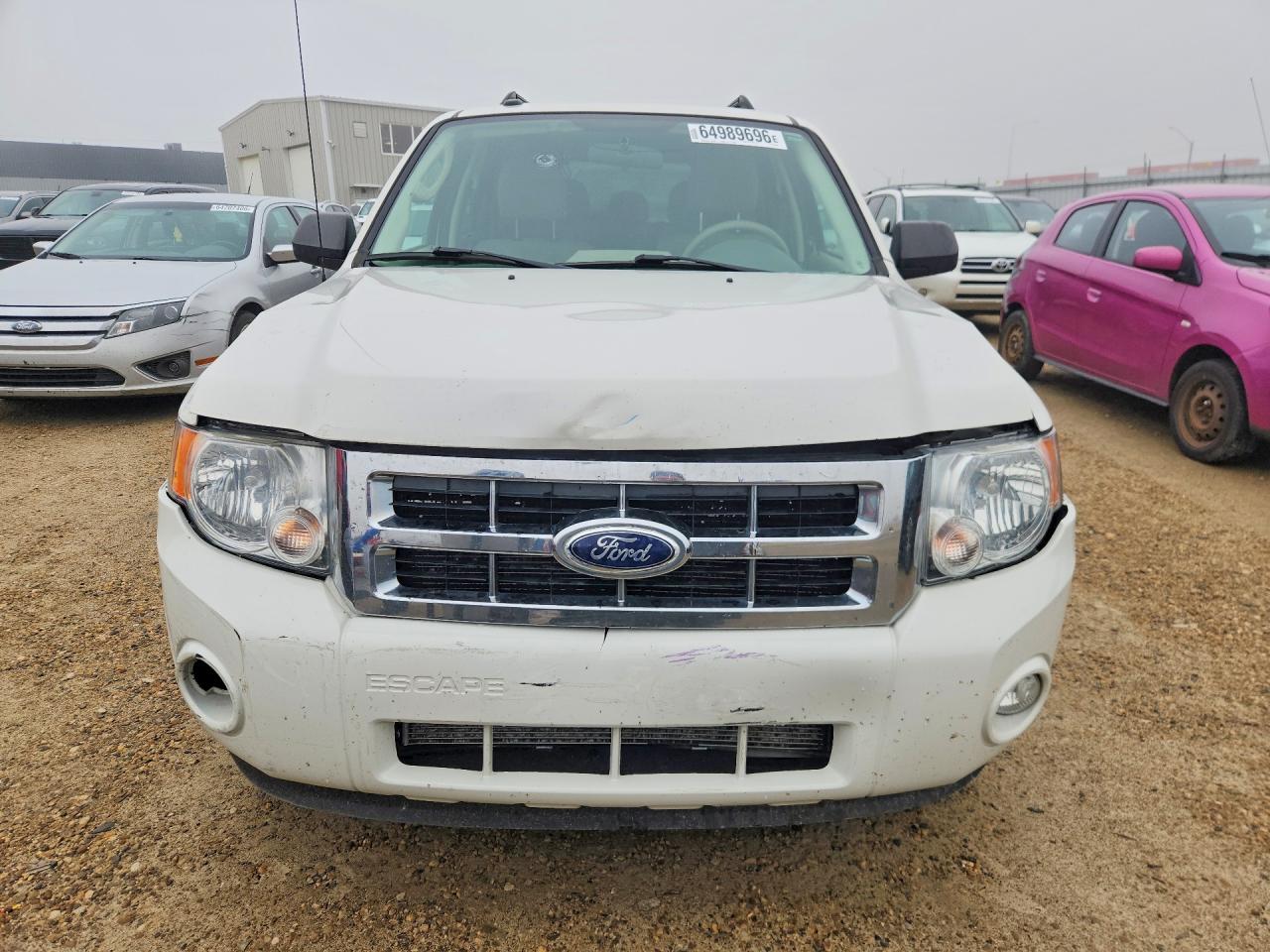 2011 Ford Escape Xlt White vin: 1FMCU0DGXBKA24074