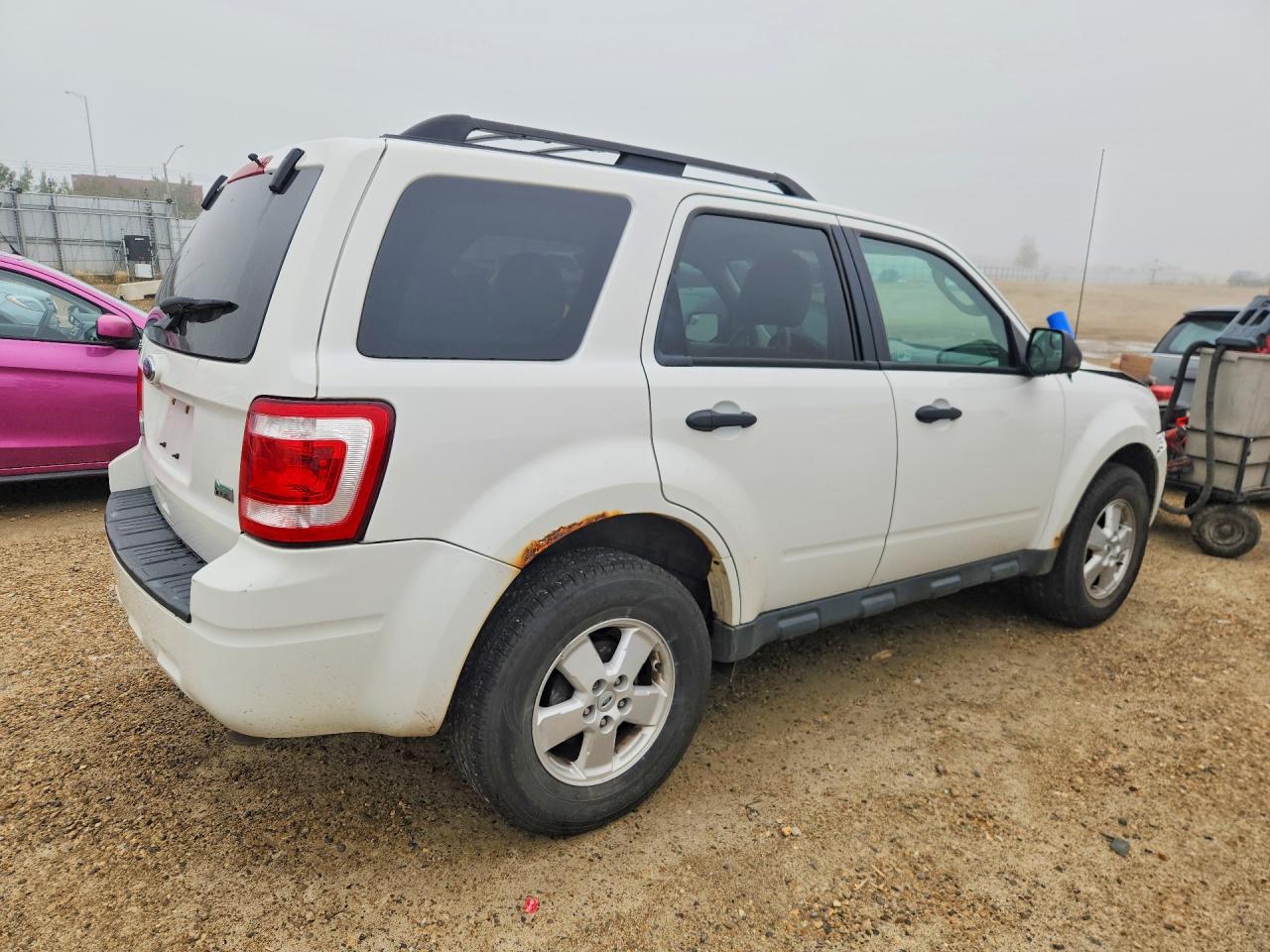 2011 Ford Escape Xlt White vin: 1FMCU0DGXBKA24074