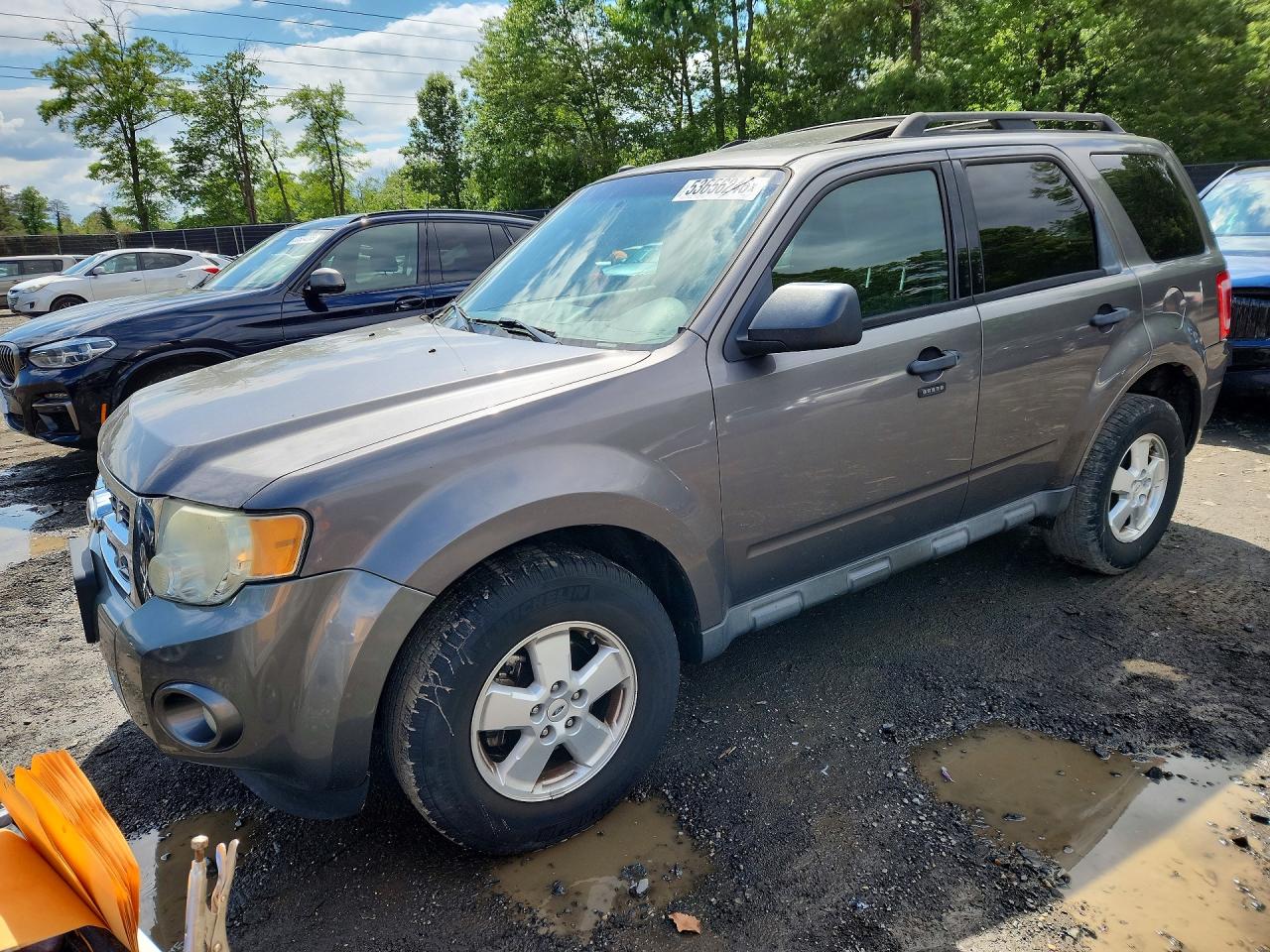 2012 Ford Escape Xlt Gray vin: 1FMCU0DGXCKA64706