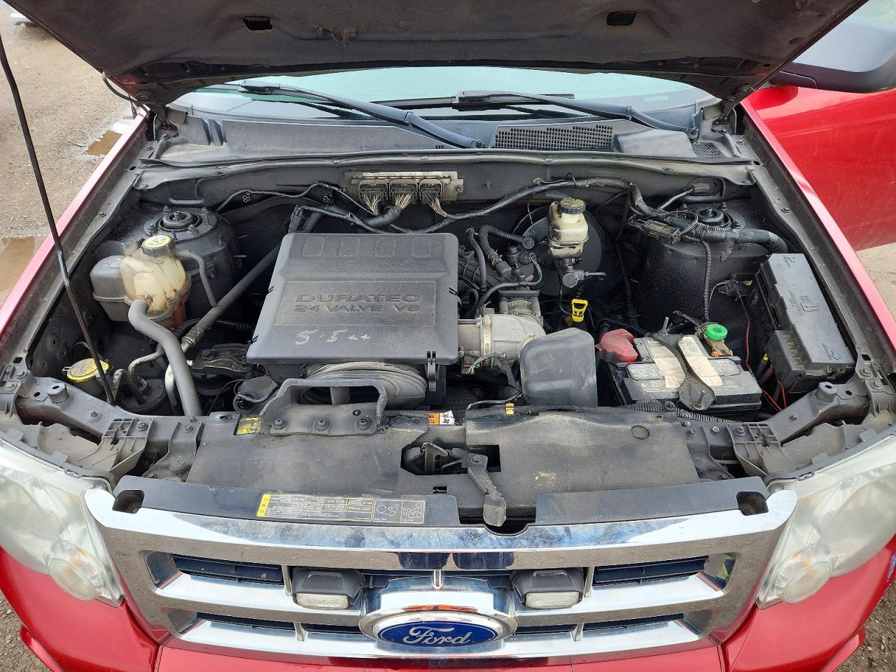 2012 Ford Escape Xlt Red vin: 1FMCU0DGXCKA86222