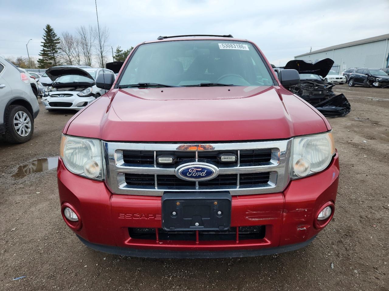 2012 Ford Escape Xlt Red vin: 1FMCU0DGXCKA86222