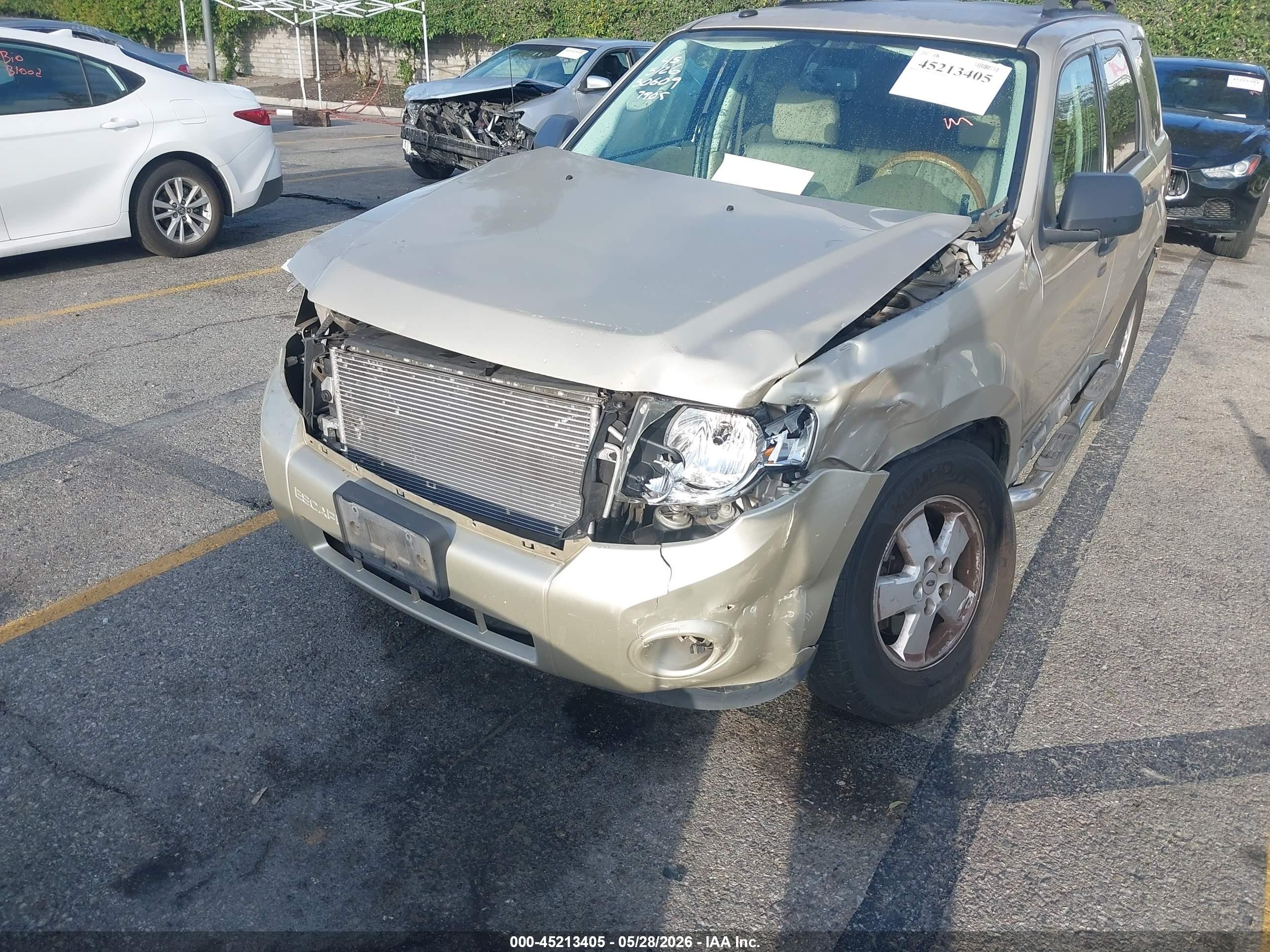2012 Ford Escape Xlt Бежевый vin: 1FMCU0DGXCKB57905