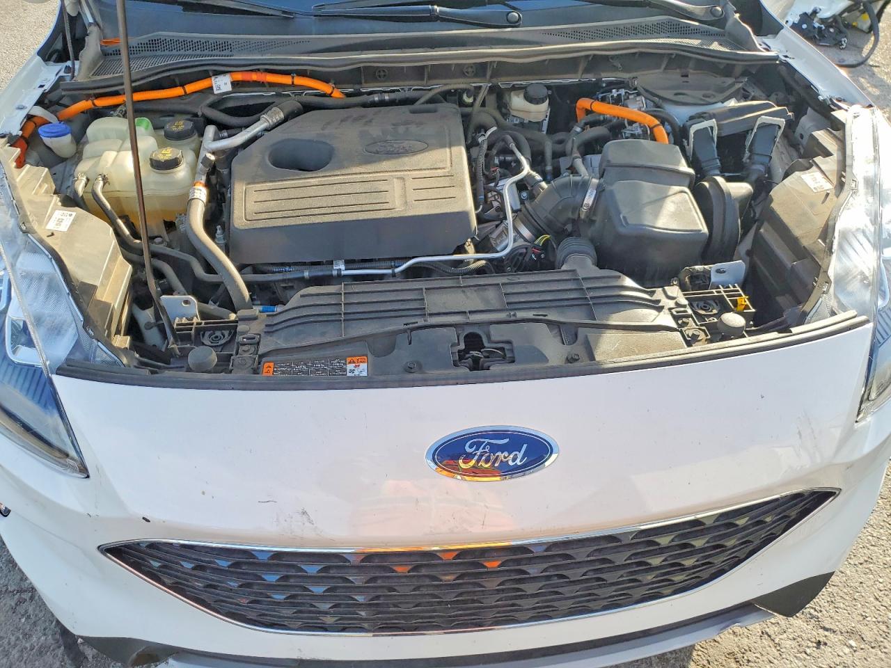 2020 Ford Escape Titanium White vin: 1FMCU0DZ0LUB06242