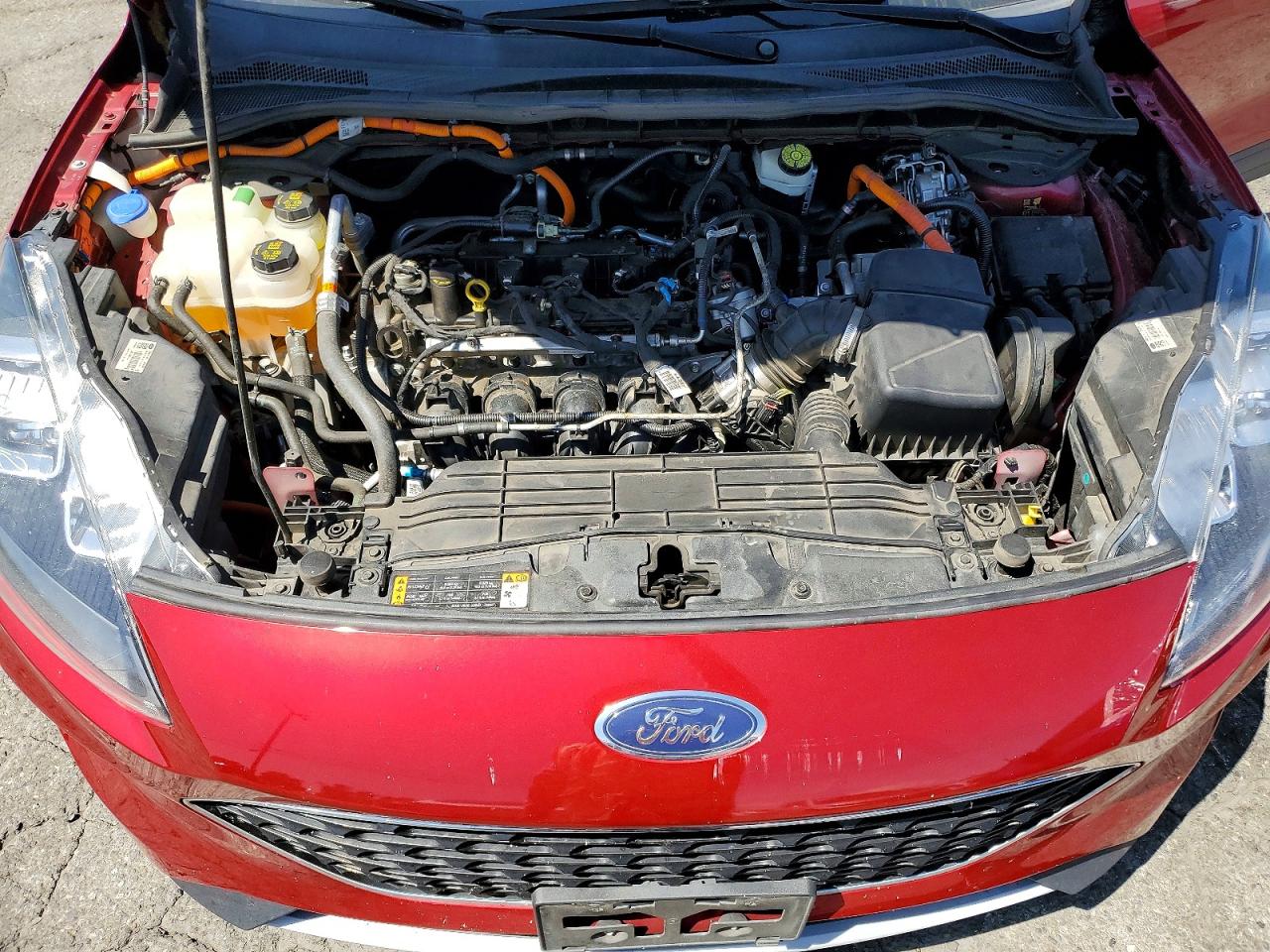 2021 Ford Escape Titanium Red vin: 1FMCU0DZ9MUB28113