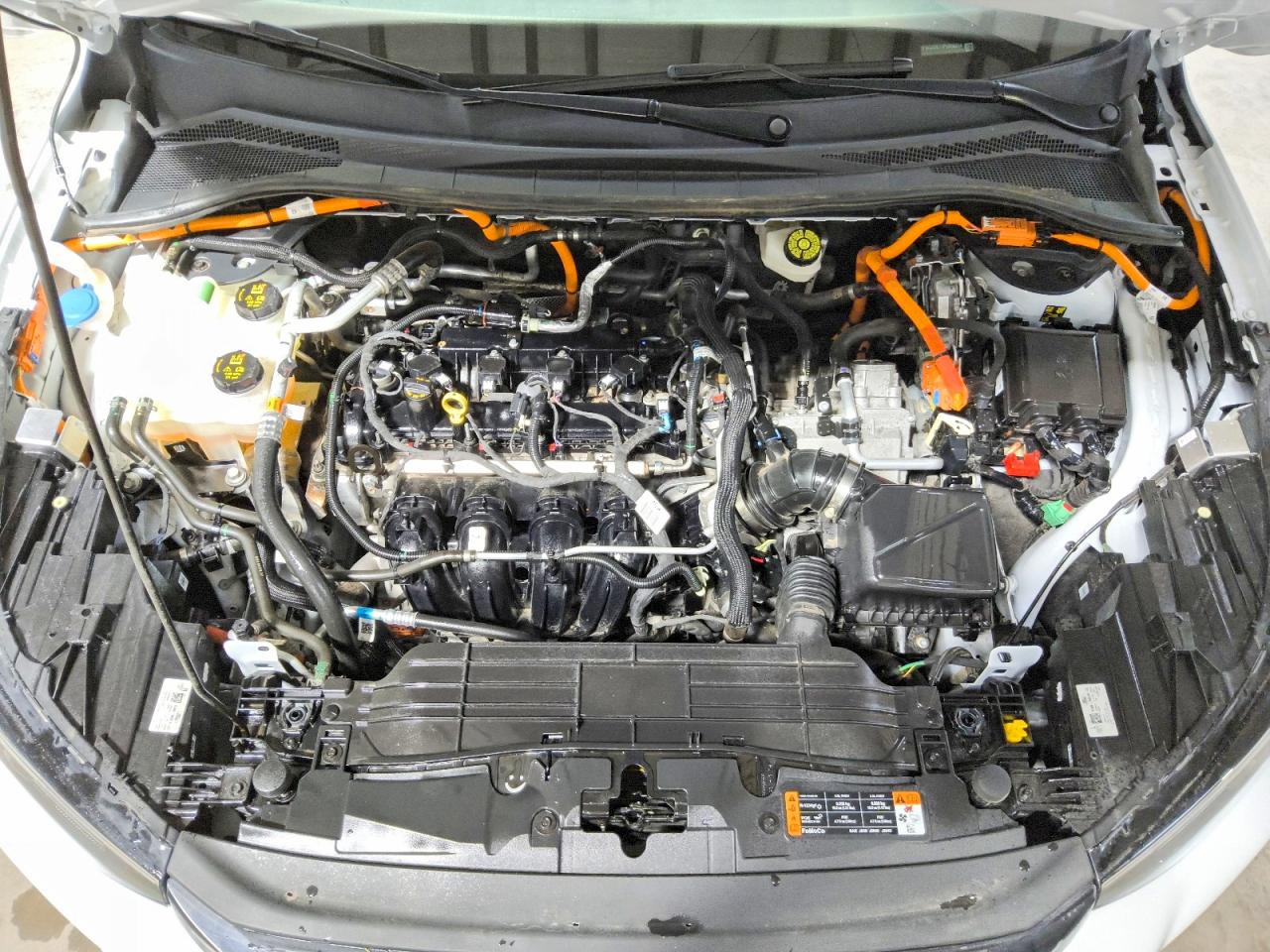 2023 Ford Escape White vin: 1FMCU0E11PUB06264
