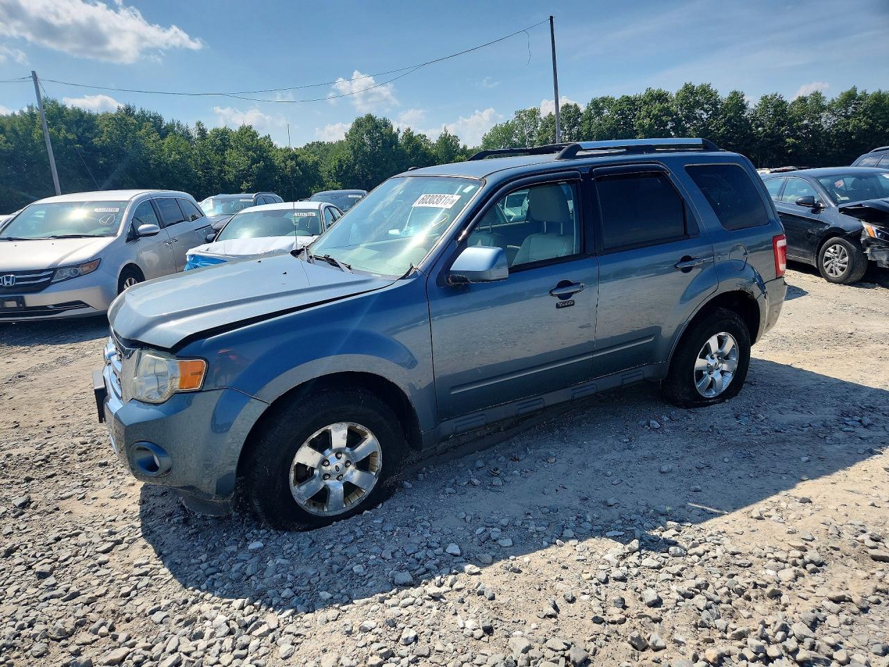 2012 Ford Escape Limited Blue vin: 1FMCU0E73CKC50652