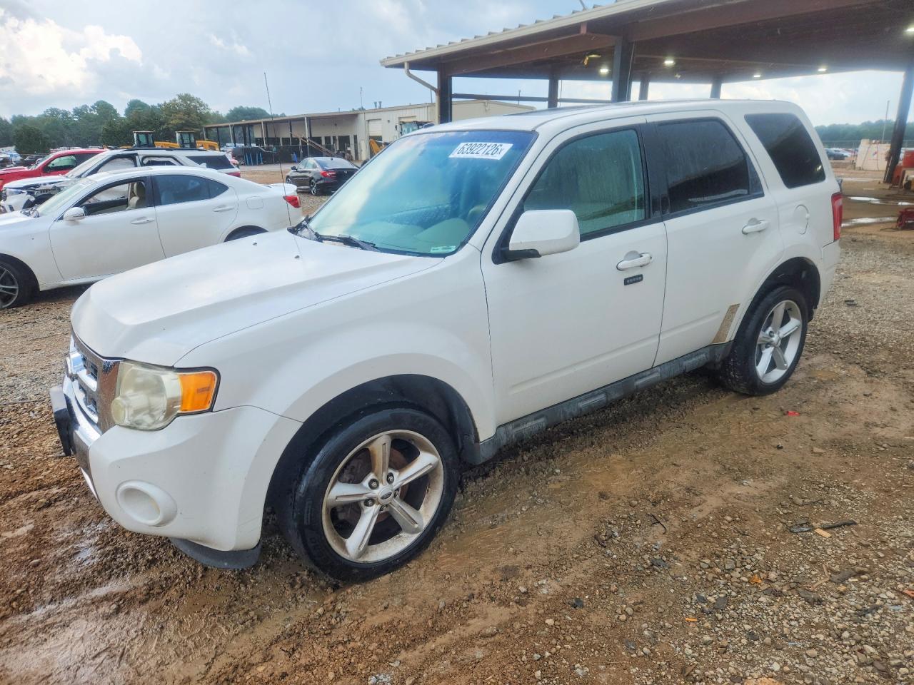 2011 Ford Escape Limited White vin: 1FMCU0E75BKA63363
