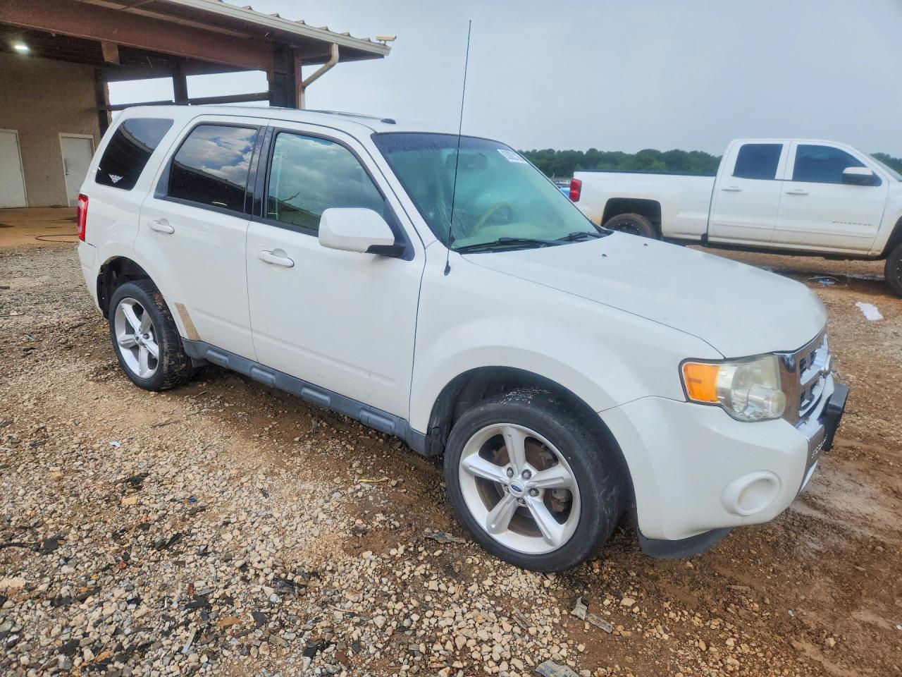 2011 Ford Escape Limited White vin: 1FMCU0E75BKA63363
