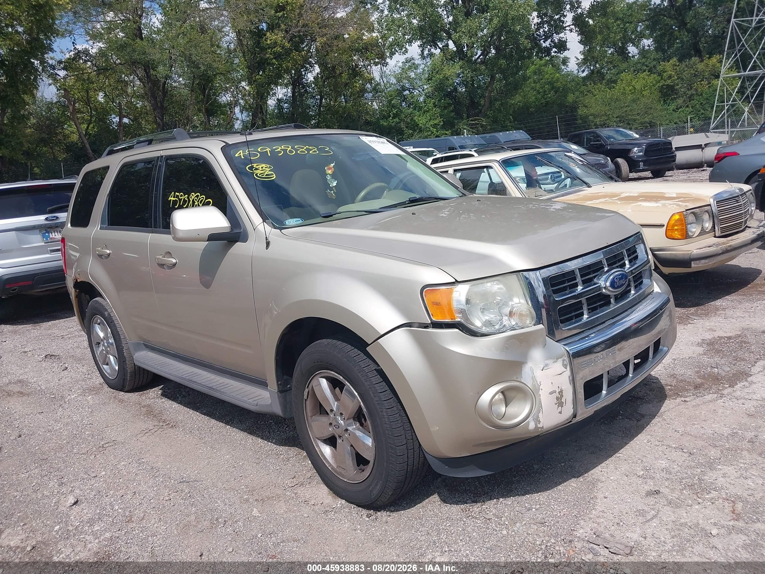 2011 Ford Escape Limited Champagne vin: 1FMCU0E77BKA97546