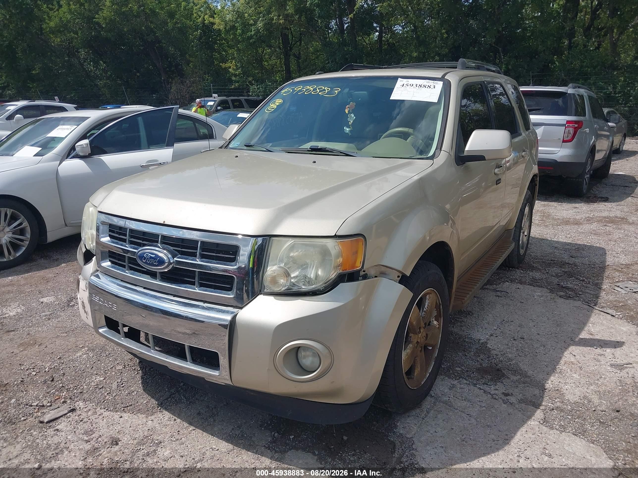 2011 Ford Escape Limited Champagne vin: 1FMCU0E77BKA97546