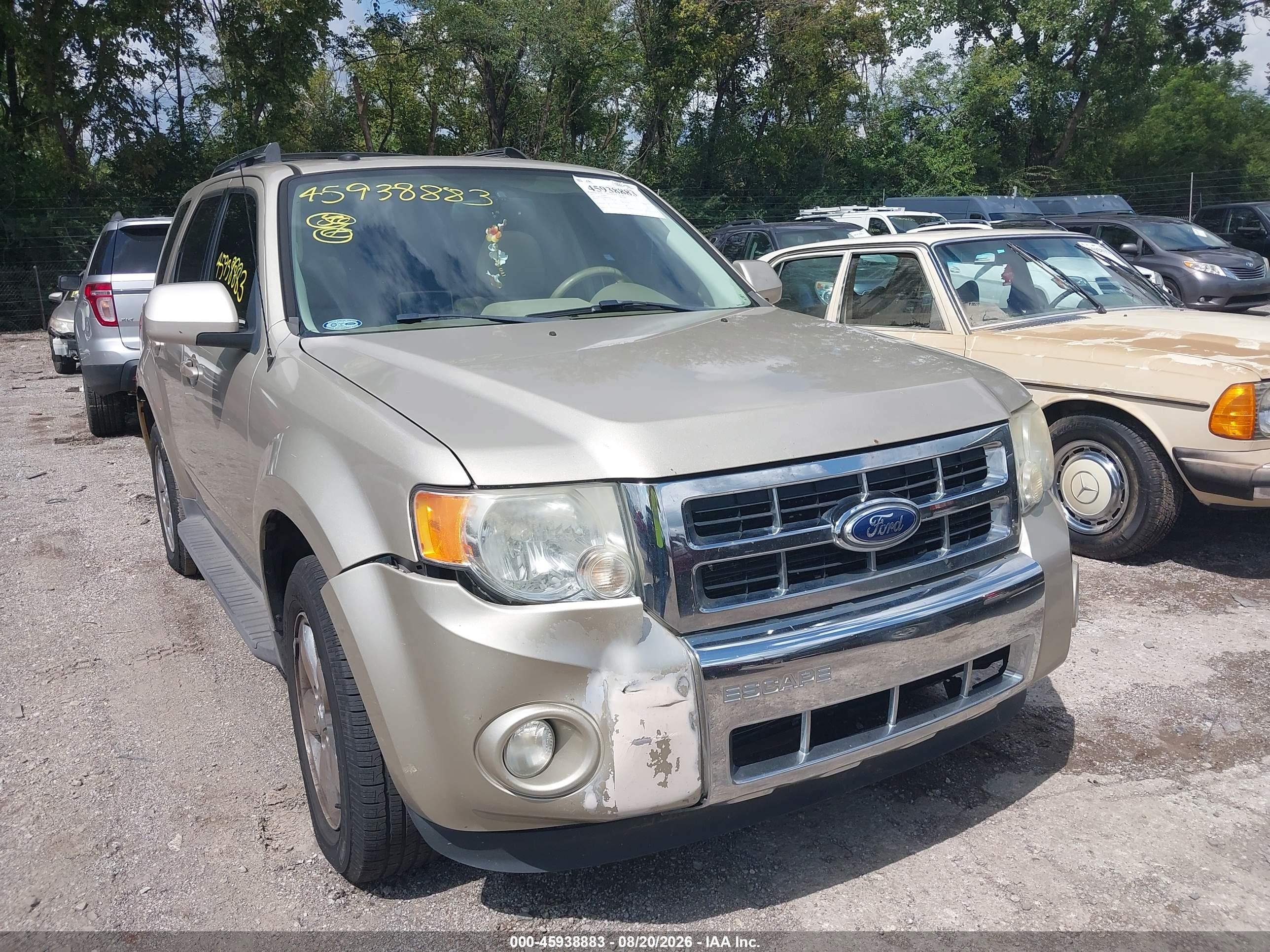 2011 Ford Escape Limited Champagne vin: 1FMCU0E77BKA97546