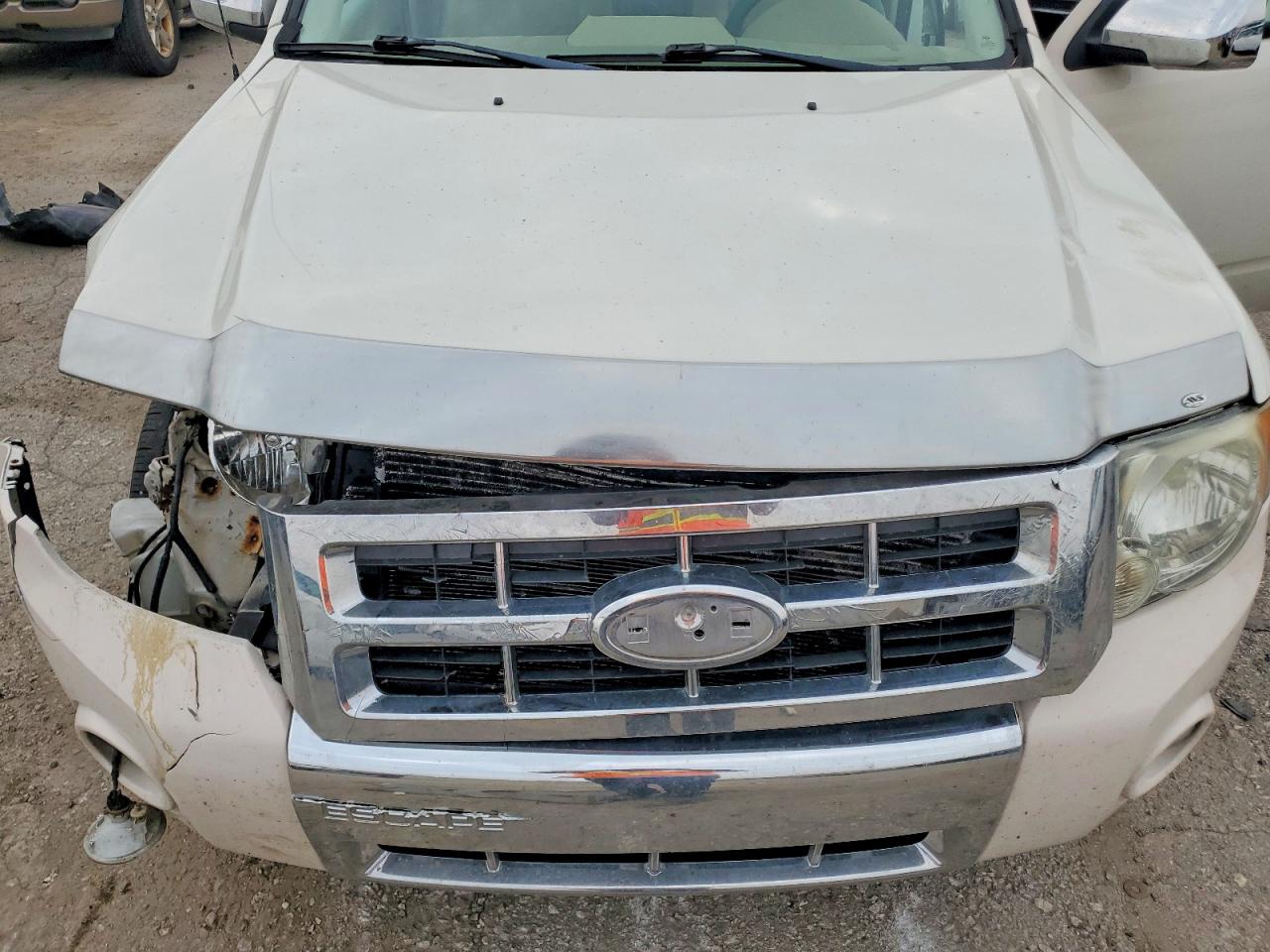 2010 Ford Escape Limited Кремовый vin: 1FMCU0EG0AKA54763