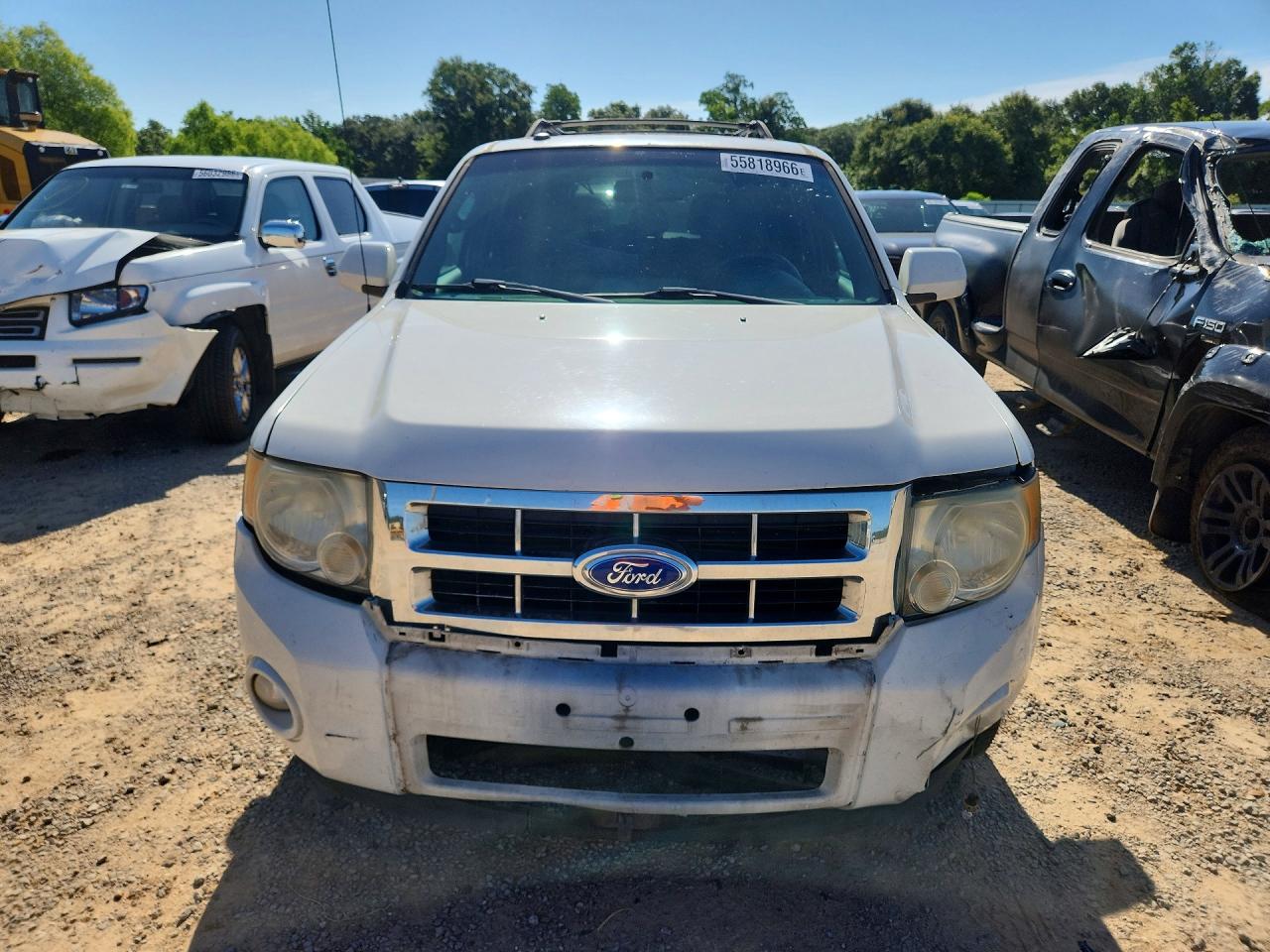 2011 Ford Escape Limited White vin: 1FMCU0EG1BKC18121
