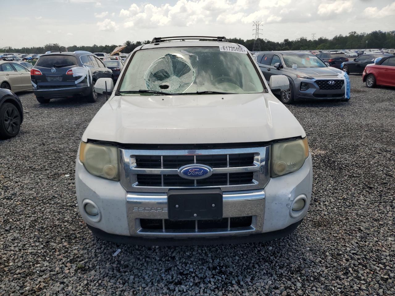 2011 Ford Escape Limited White vin: 1FMCU0EG2BKC28821
