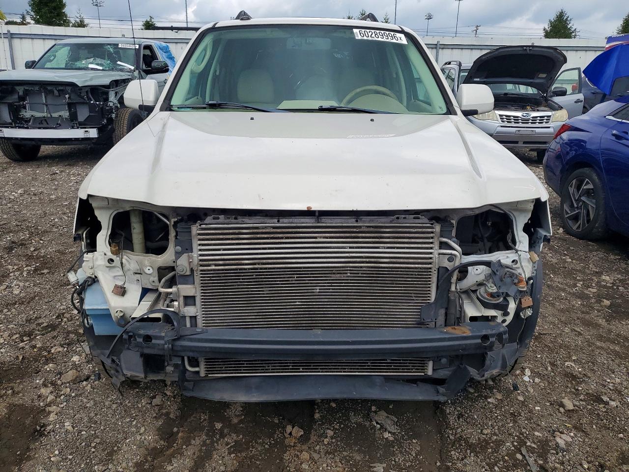 2010 Ford Escape Limited White vin: 1FMCU0EG3AKB95746