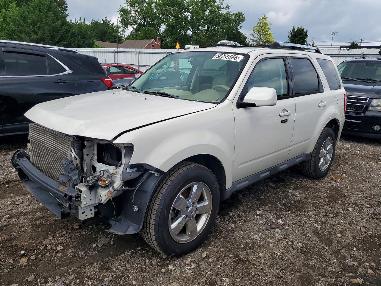 2010 Ford Escape Limited White vin: 1FMCU0EG3AKB95746