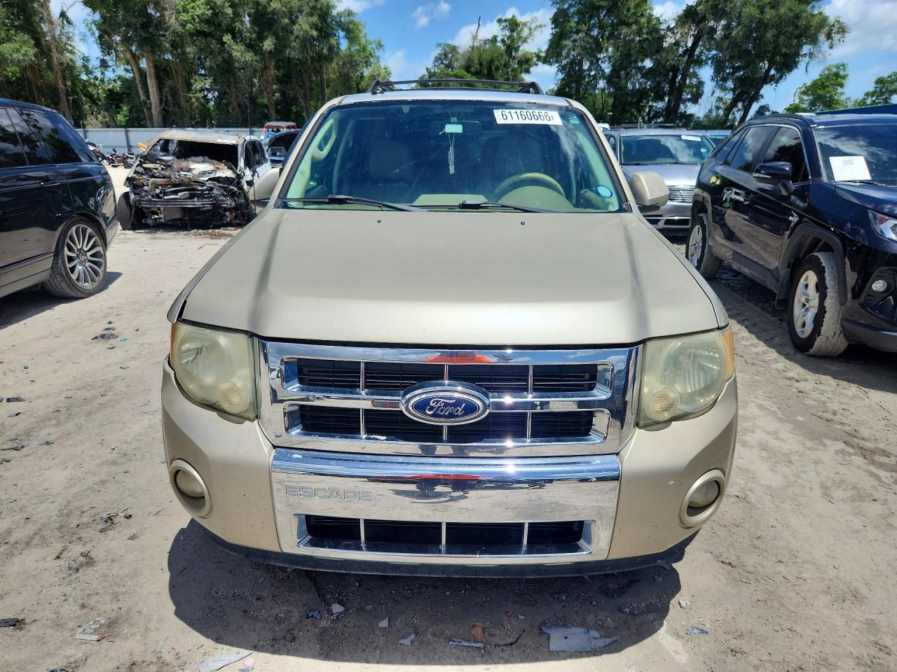 2010 Ford Escape Limited Золотой vin: 1FMCU0EGXAKB91421