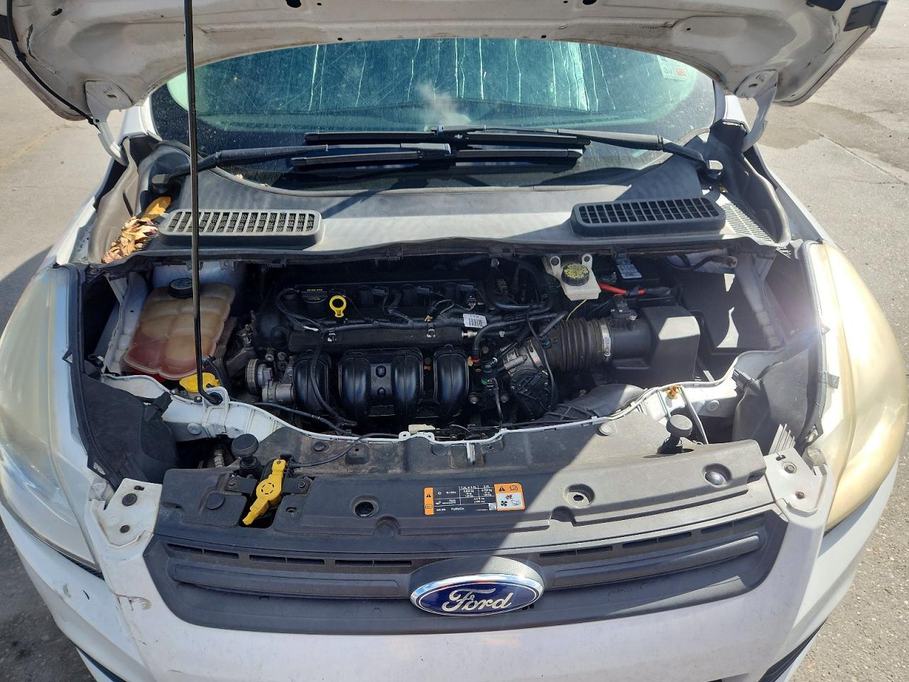 2014 Ford Escape Белый vin: 1FMCU0F71EUD06352