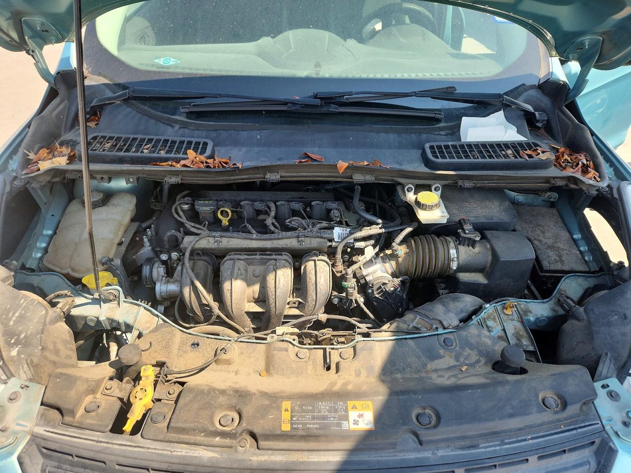 2013 Ford Escape S Green vin: 1FMCU0F74DUD39571