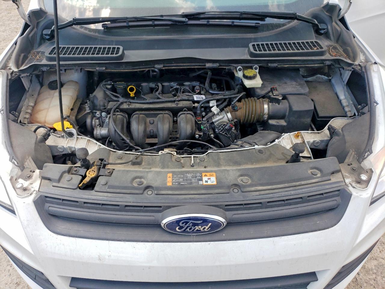 2014 Ford Escape S White vin: 1FMCU0F74EUD40382