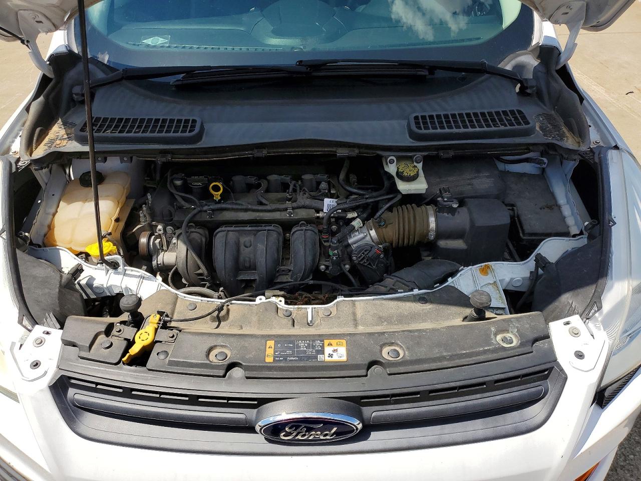 2014 Ford Escape S Белый vin: 1FMCU0F76EUB26445