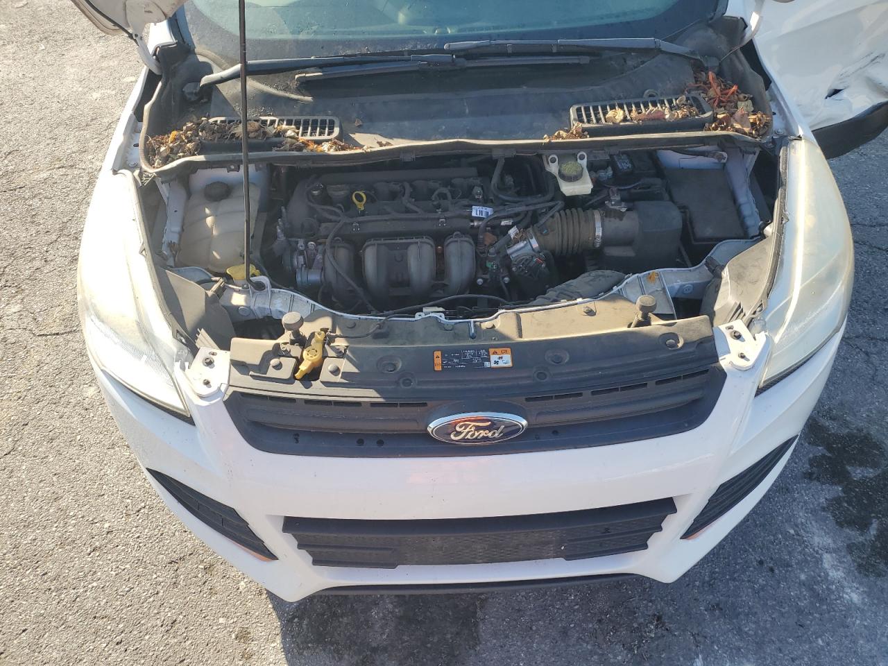 2014 Ford Escape S White vin: 1FMCU0F78EUD41826