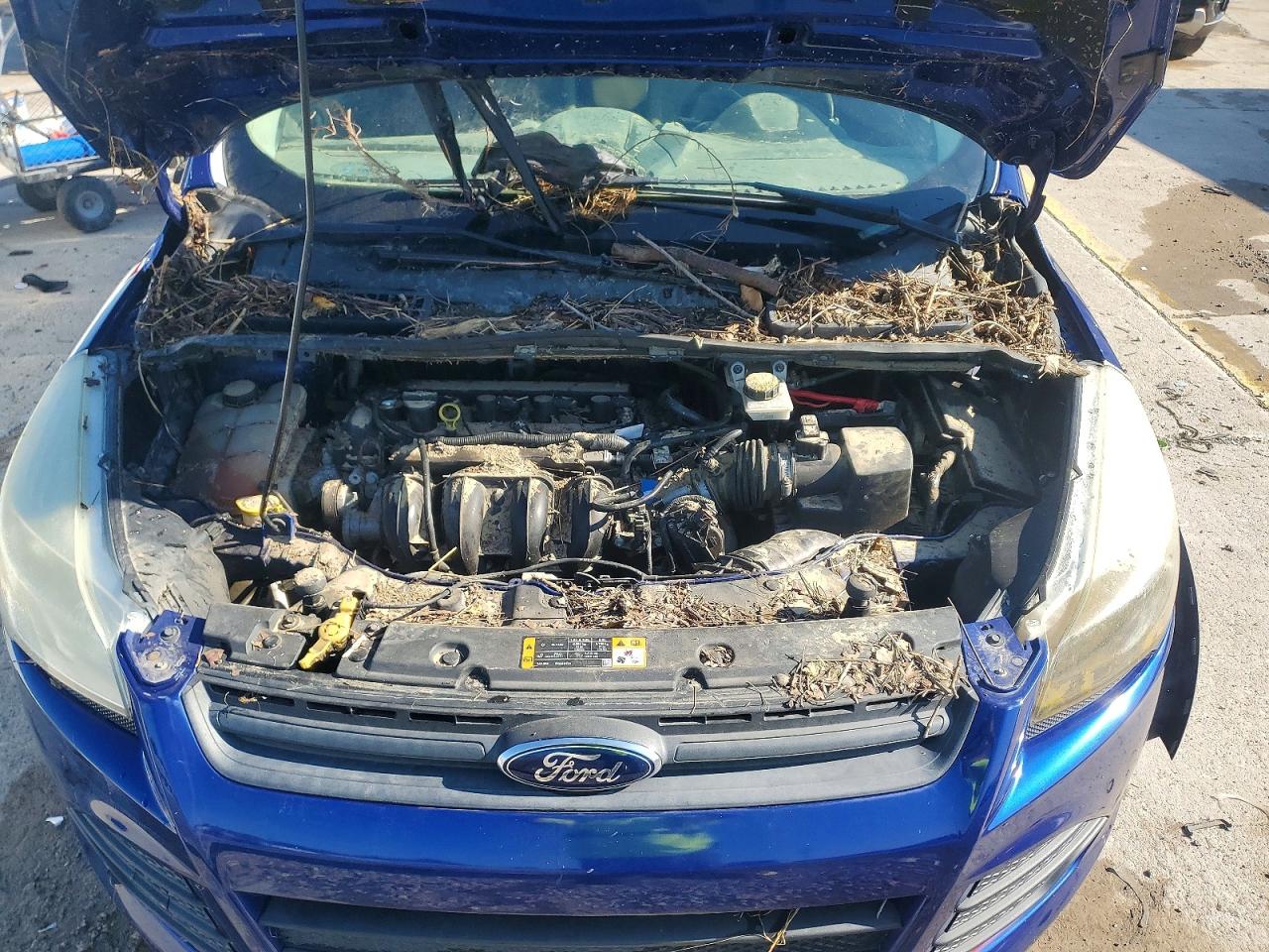 2013 Ford Escape S Blue vin: 1FMCU0F79DUA20442