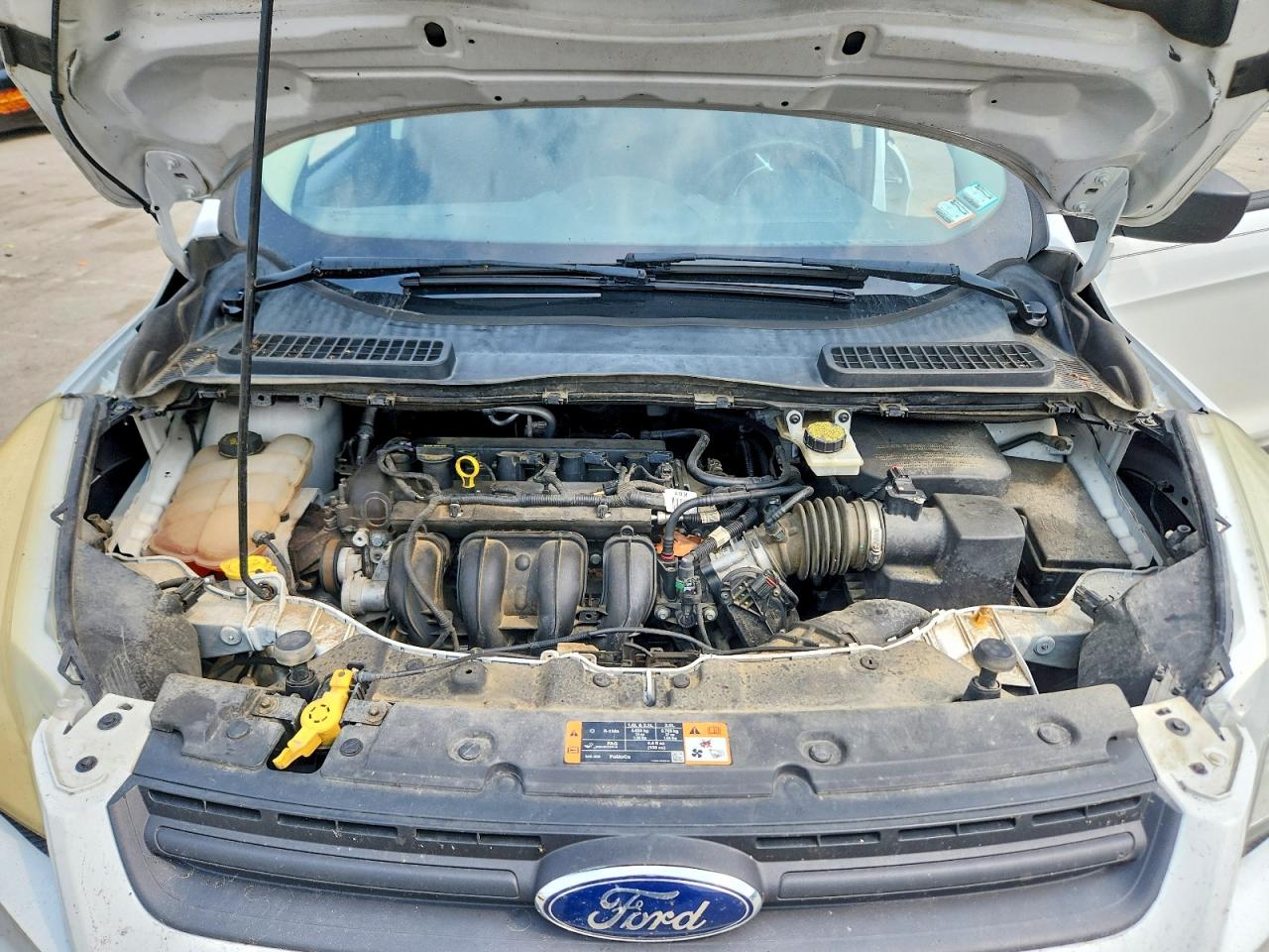 2015 Ford Escape S White vin: 1FMCU0F7XFUB47042