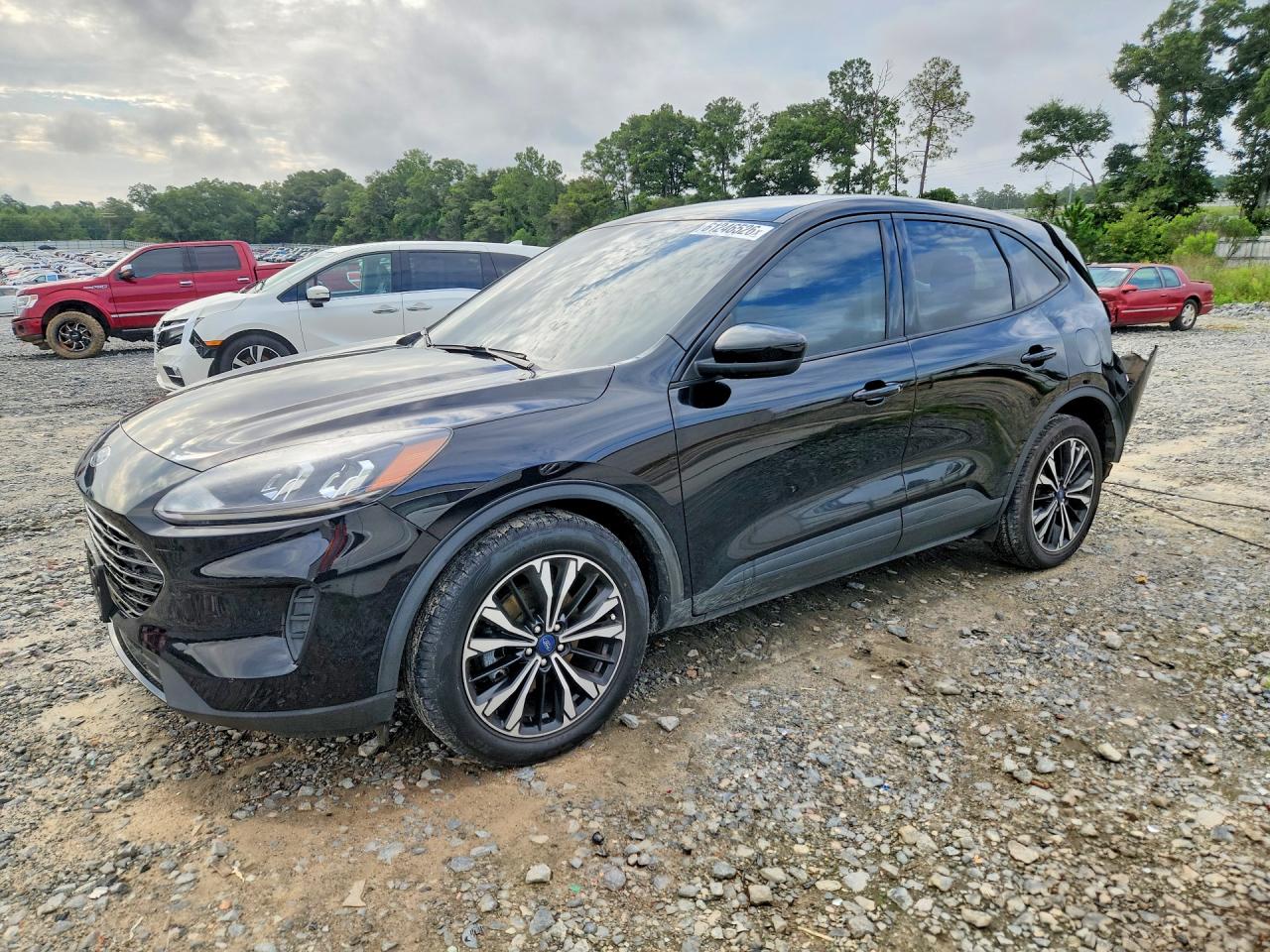 2022 Ford Escape Se Black vin: 1FMCU0G63NUB84325