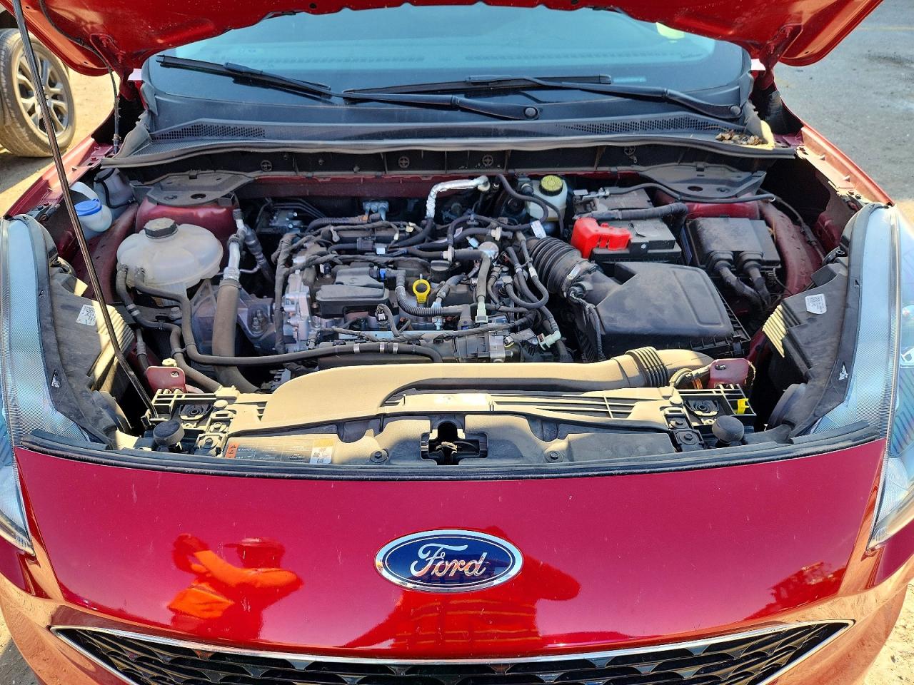 2022 Ford Escape Se Красный vin: 1FMCU0G64NUB62964