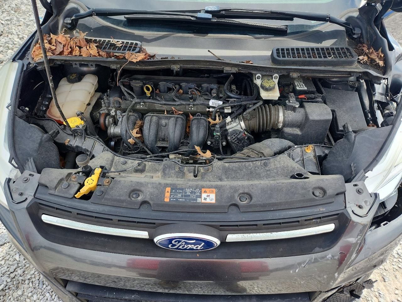 2015 Ford Escape Se Gray vin: 1FMCU0G71FUC20216