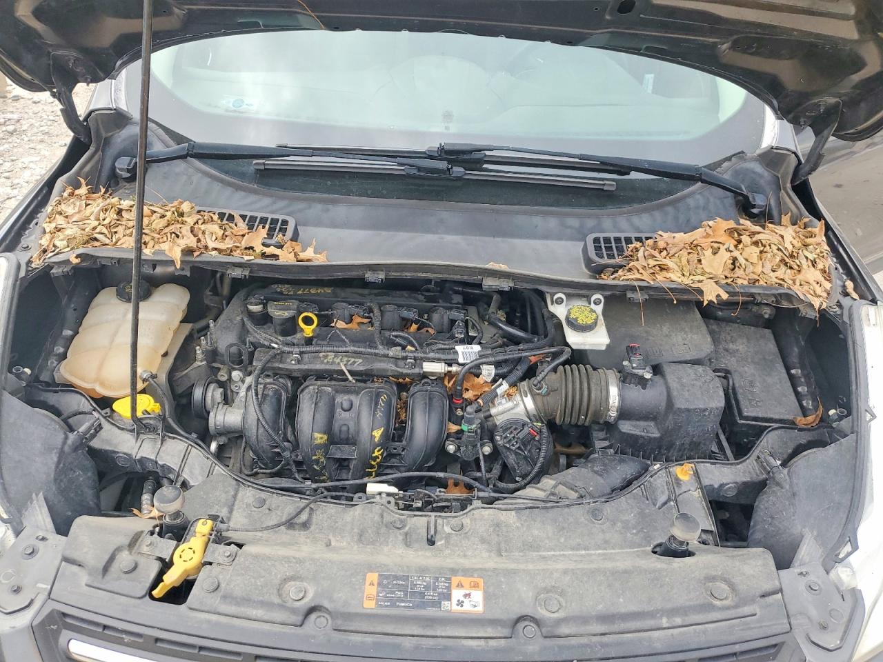 2015 Ford Escape Se Gray vin: 1FMCU0G72FUC39356