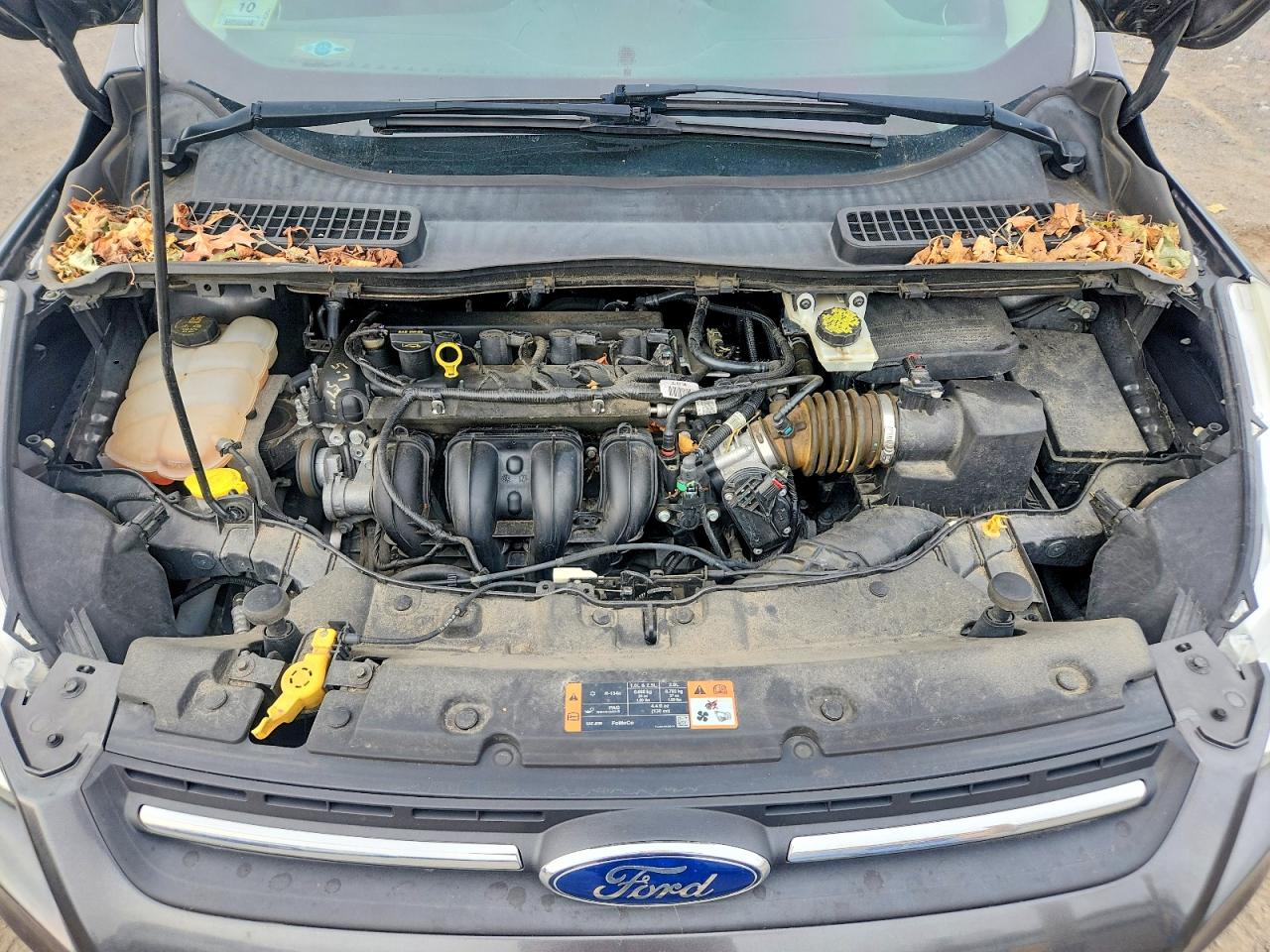 2015 Ford Escape Se Gray vin: 1FMCU0G73FUB69205