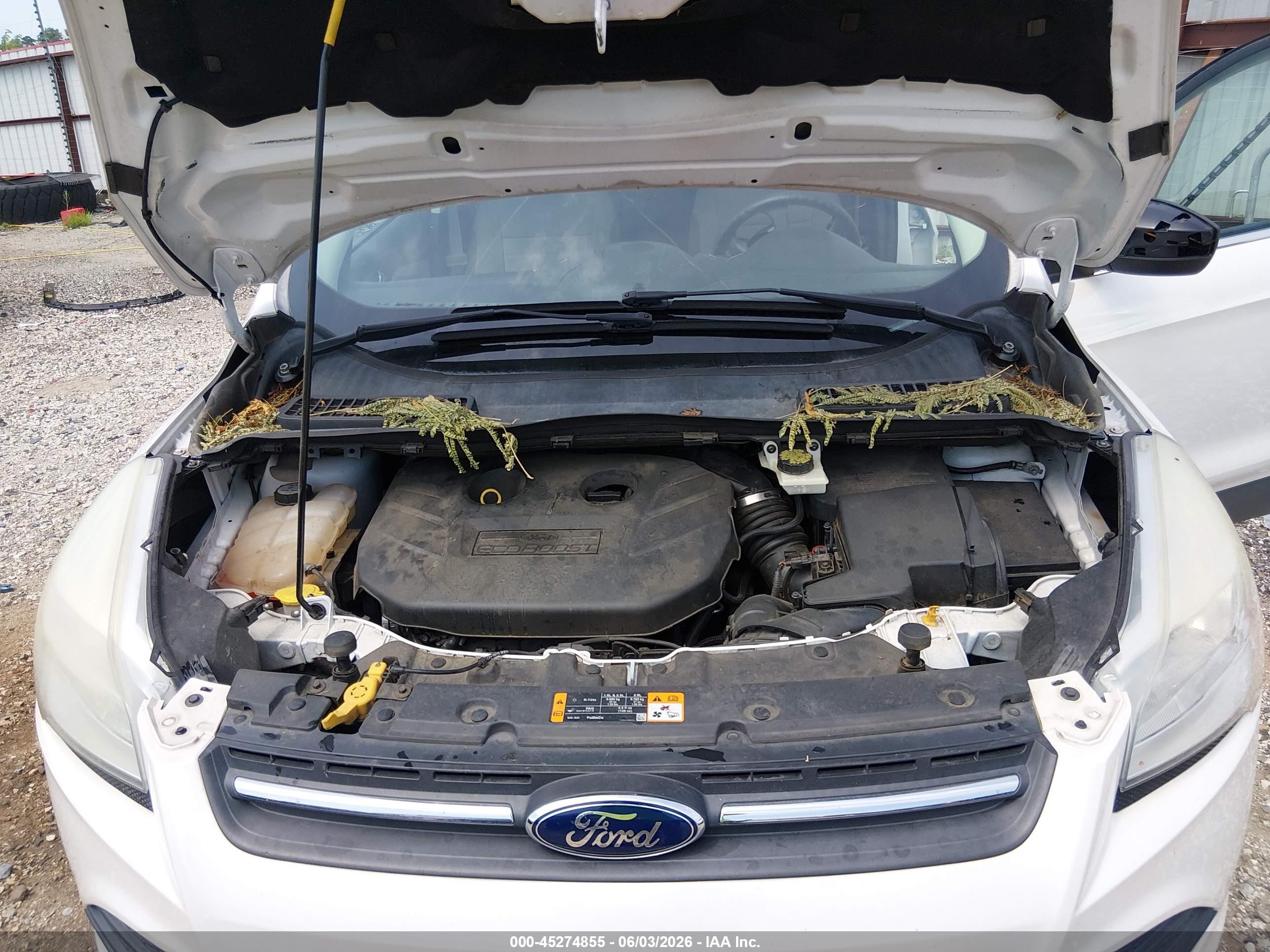 2013 Ford Escape Se White vin: 1FMCU0G90DUC59314