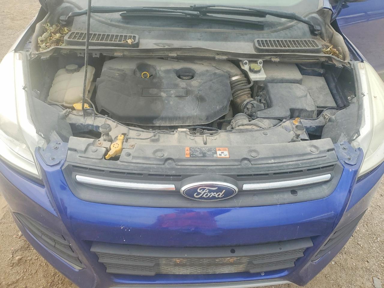 2015 Ford Escape Se Blue vin: 1FMCU0G90FUA38640