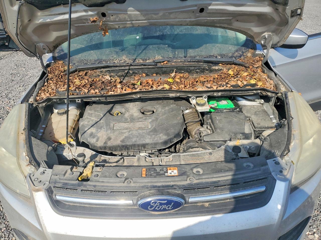 2015 Ford Escape Se Silver vin: 1FMCU0G90FUB03938