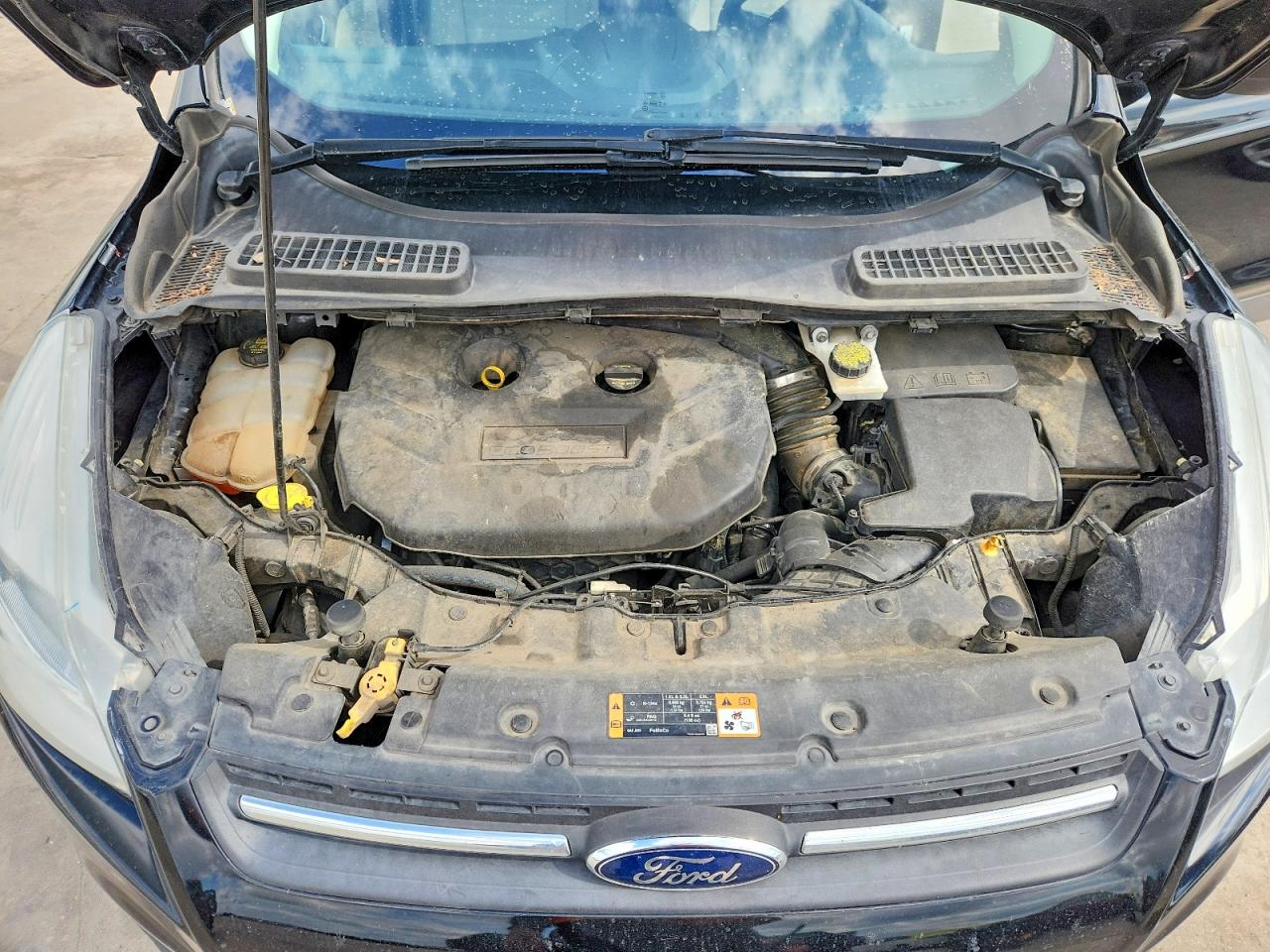 2016 Ford Escape Se Black vin: 1FMCU0G92GUA69258