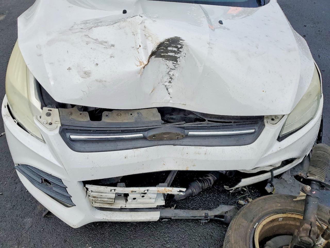 2014 Ford Escape Se White vin: 1FMCU0G93EUE01219