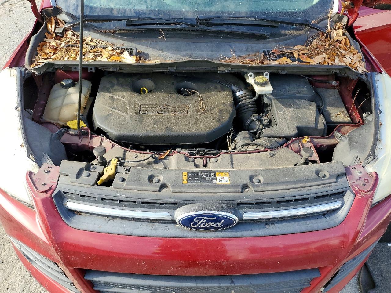 2013 Ford Escape Se Maroon vin: 1FMCU0G95DUD48764