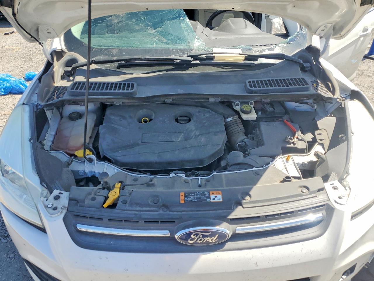 2014 Ford Escape Se White vin: 1FMCU0G96EUE57414