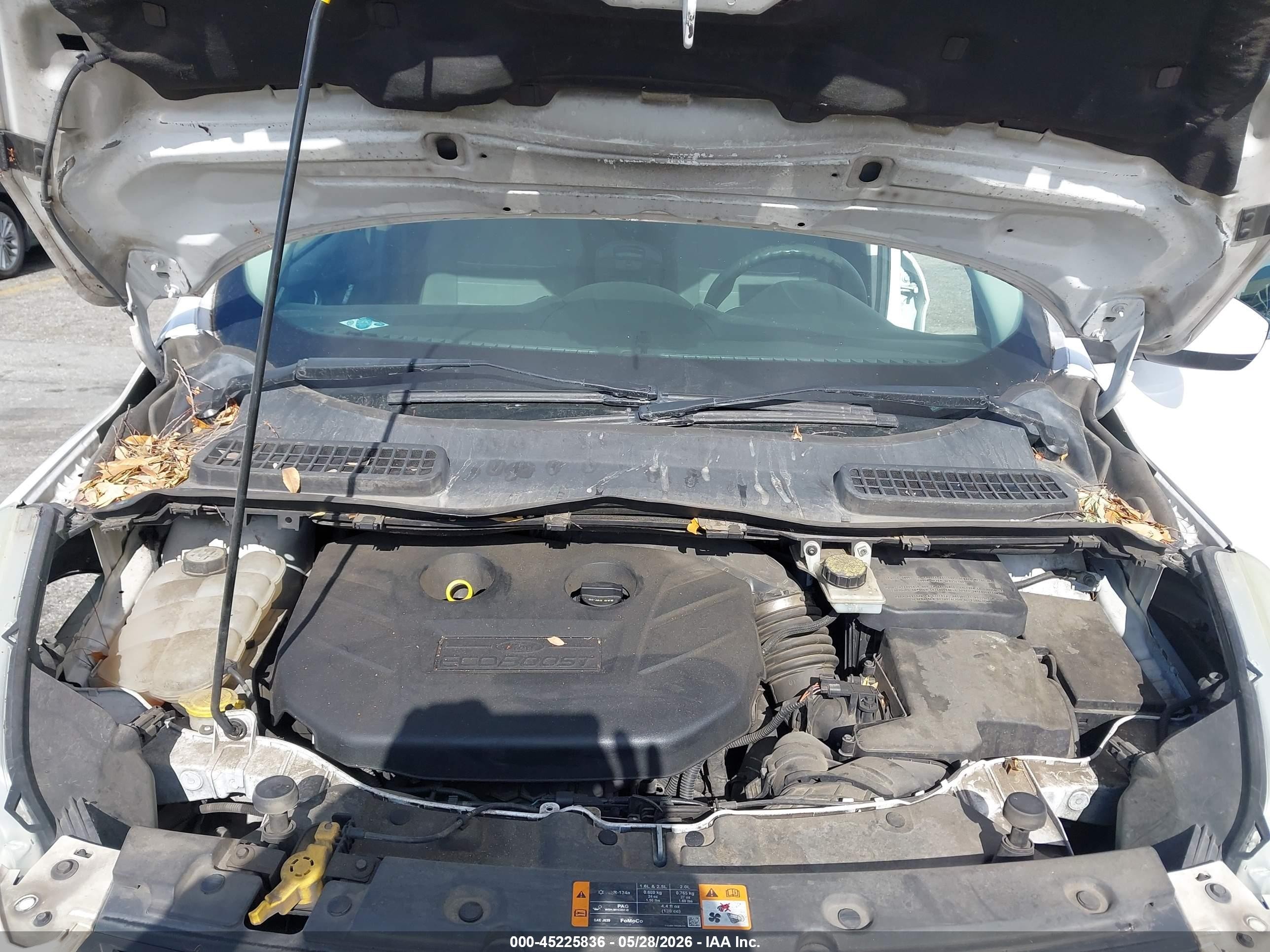 2013 Ford Escape Se Белый vin: 1FMCU0G99DUD17999