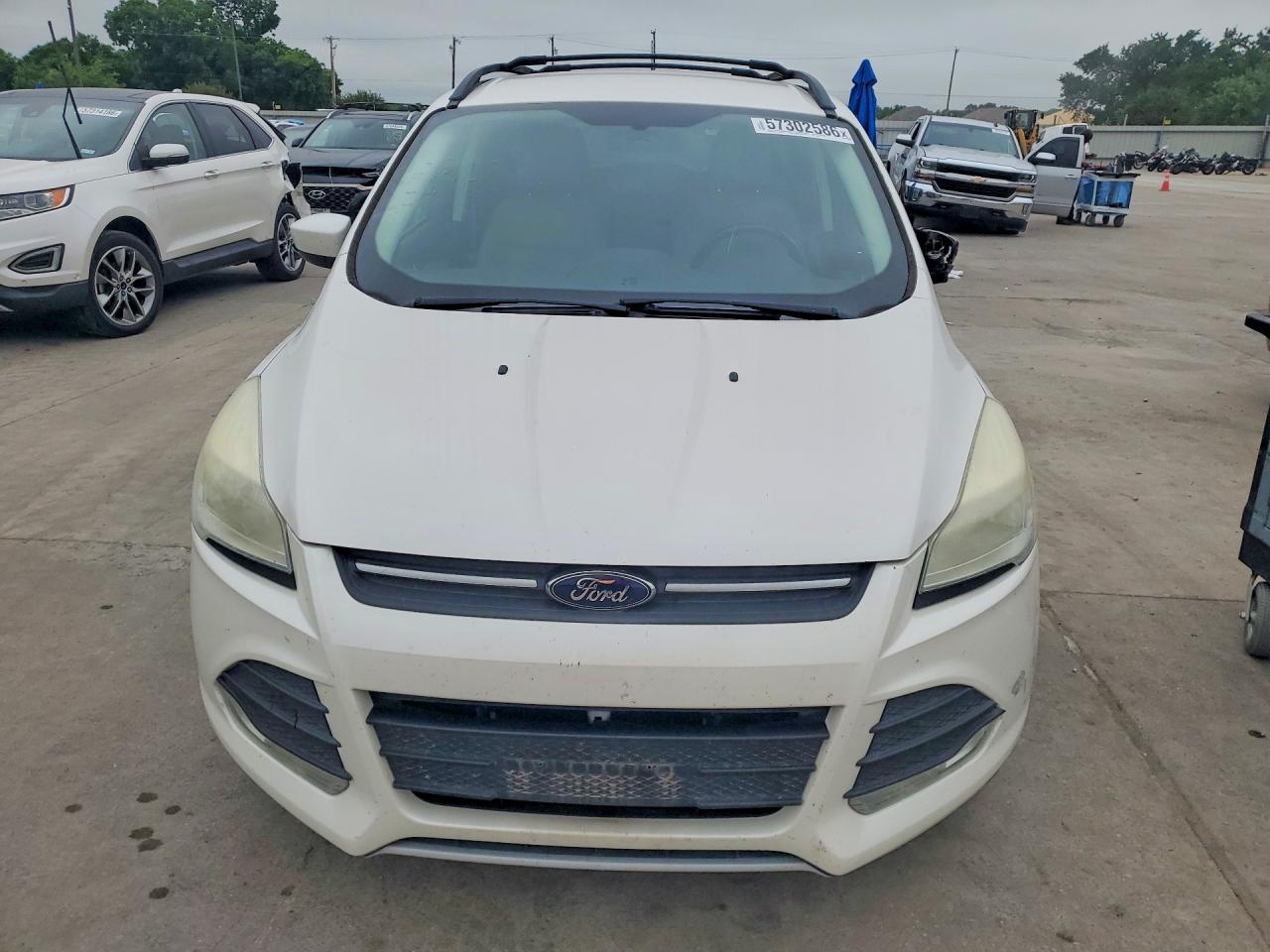2014 Ford Escape Se White vin: 1FMCU0G99EUA76544