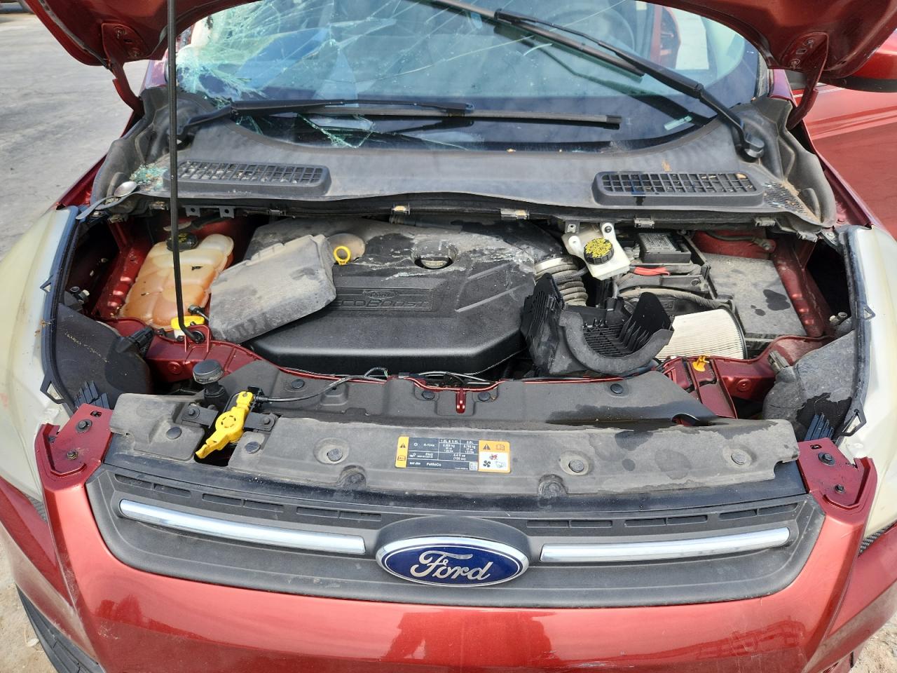 2014 Ford Escape Se Темно-бордовый vin: 1FMCU0G99EUB14838