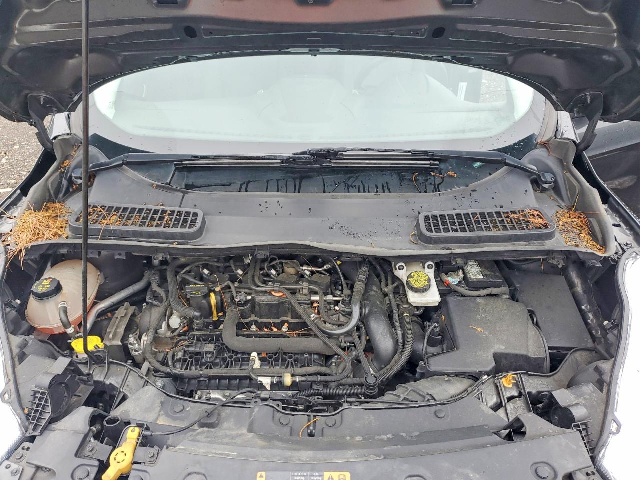 2019 Ford Escape Se Gray vin: 1FMCU0GD3KUA94313