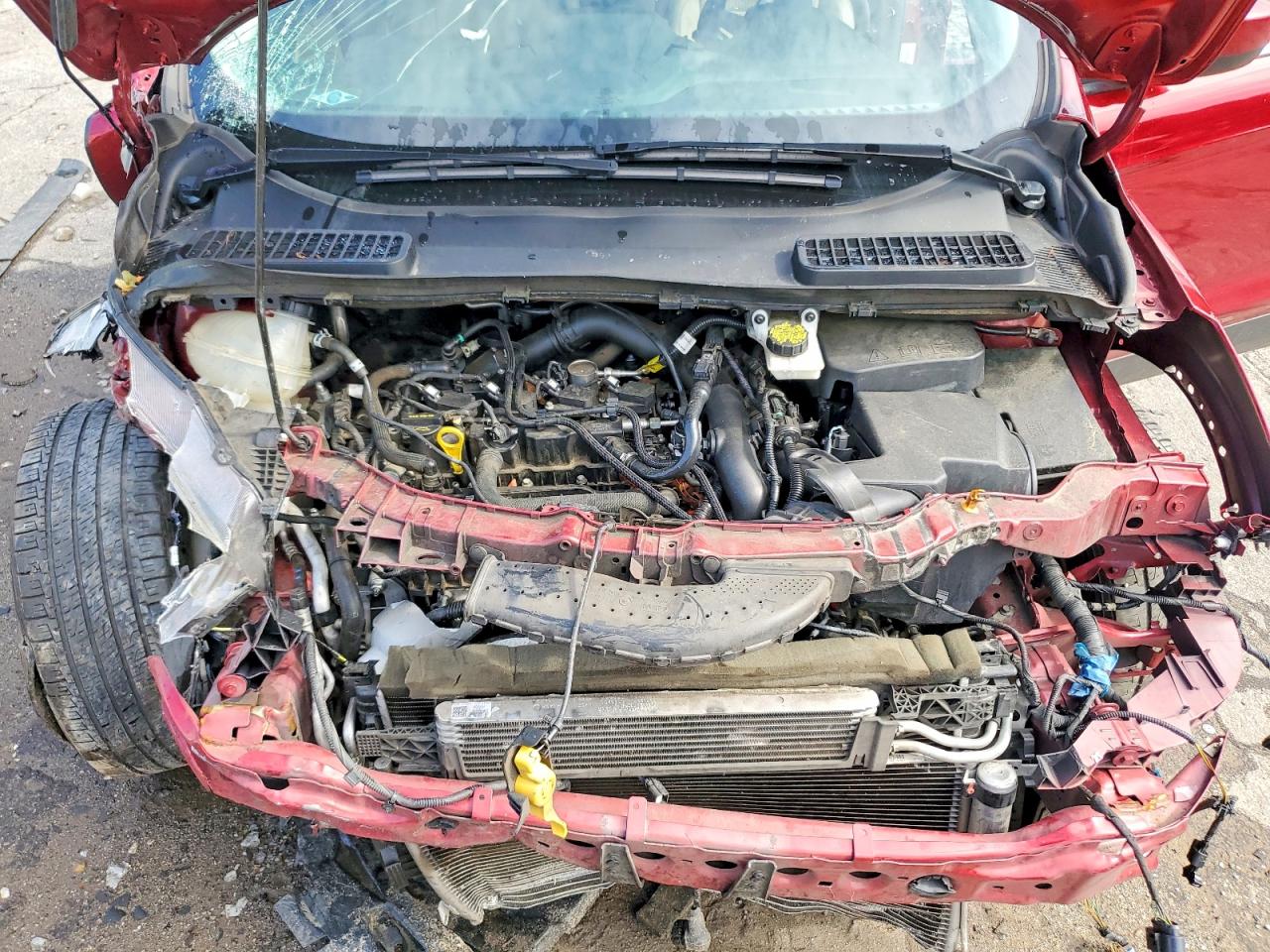 2019 Ford Escape Se Red vin: 1FMCU0GD5KUA38275